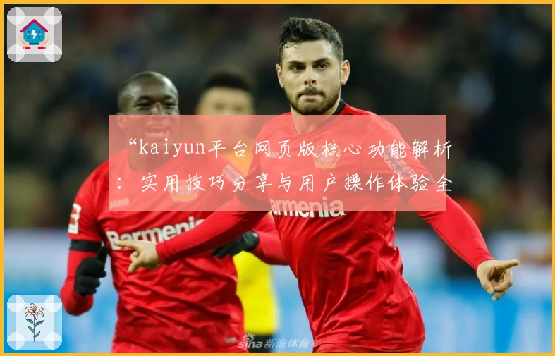 “kaiyun平台网页版核心功能解析：实用技巧分享与用户操作体验全解读”