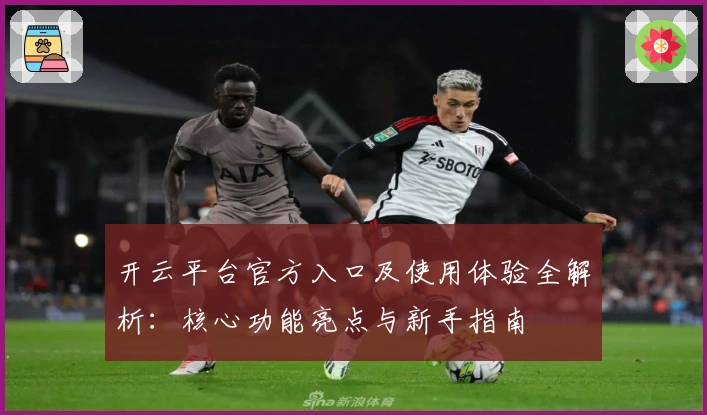 开云平台官方入口及使用体验全解析：核心功能亮点与新手指南